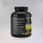 Bulk Mass Gainer - Image 5