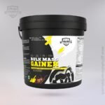 Bulk Mass Gainer - Image 3
